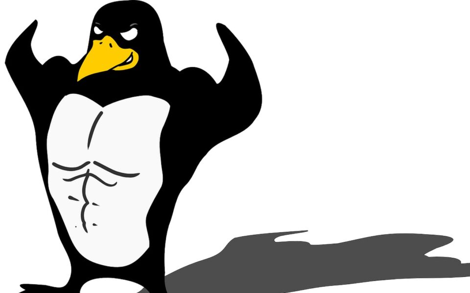 11 Gründe, warum Linux besser ist als Windows 1600
